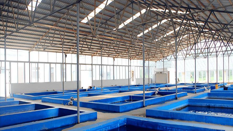 廣西恒洋農(nóng)業(yè)開發(fā)智能化水產(chǎn)養(yǎng)殖 以科技賦能，開啟漁業(yè)新未來